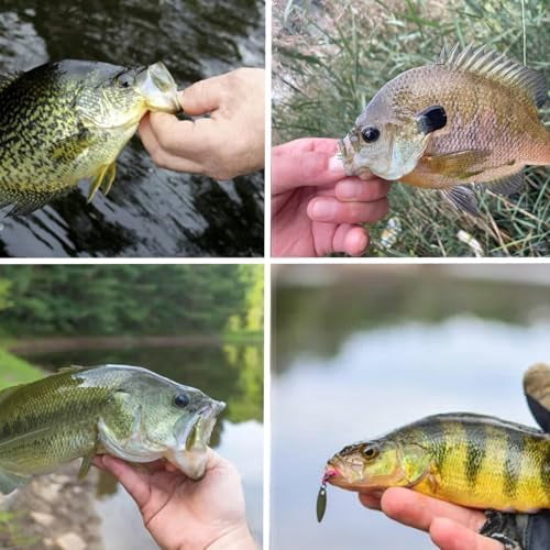 WLIKKSCrappie Jigs Underspin Jig Heads 3D Eyes Crappie Jig Heads 1/32oz 1/16oz 1/8oz Fishing Jig Heads for Crappie Bluegill 10 Packs