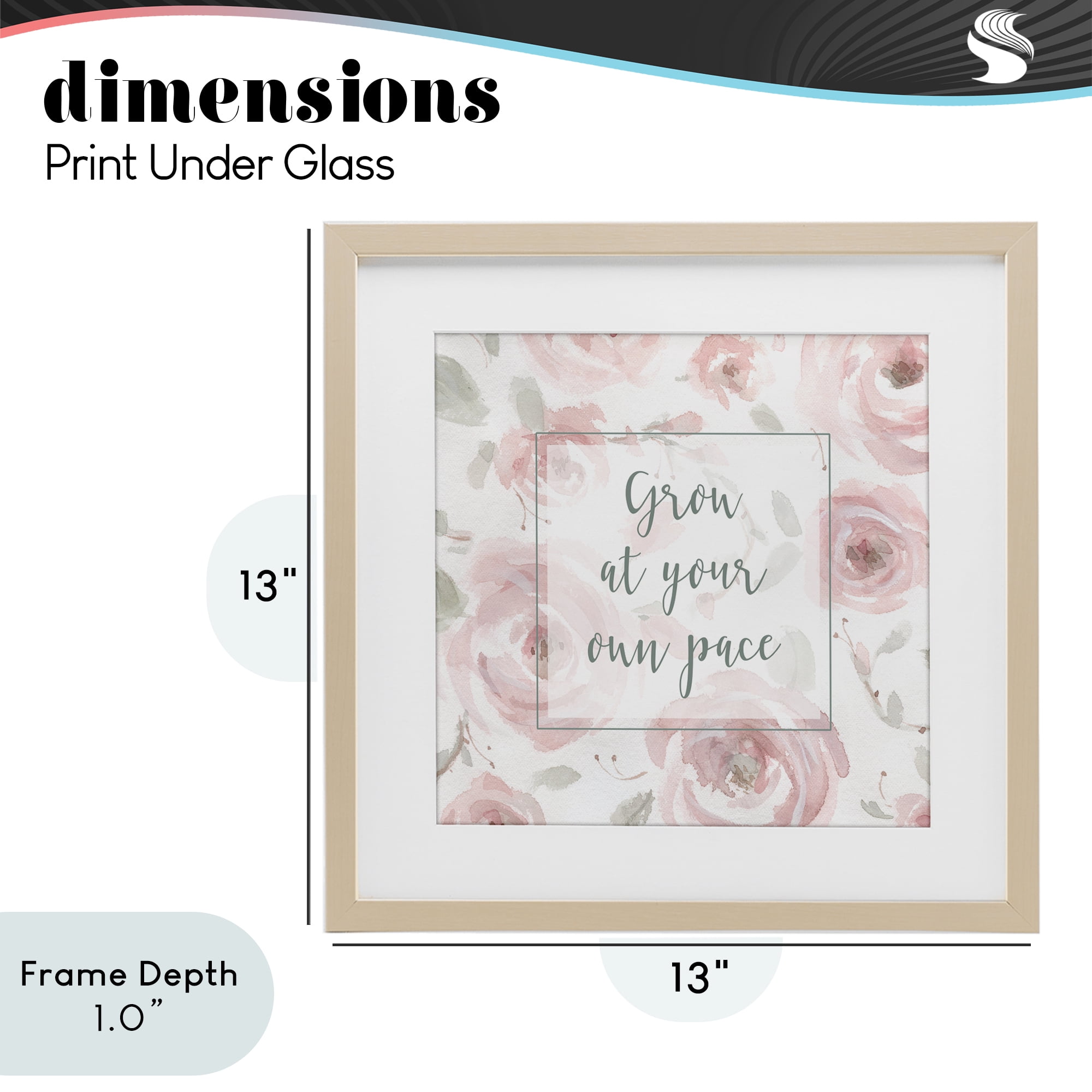 Stupell Industries Grow at Your Pace Florals Birch Framed Print Under Glass, design by Carol Robinson
