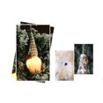 thumbnail image 2 of Muñeca sin rostro brillante Muñeca de gnomos suecos brillantes con capa Enano sin rostro Felpa Adornos hechos a mano de Halloween Regalos de Halloween para niños 2 piezas (E) oso de fresa Electrónica, 2 of 5