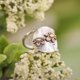 thumbnail image 1 of Hecate Triple Moon Ring Set Amethyst o Red Crystal Wedding Ring Unique Moon Goddess Anillos para mujeres Regalo gótico Tan Jianjun unisex, 1 of 2