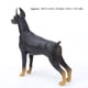 thumbnail image 3 of Modelo Animal De Mano De Obra Exquisita, Juguete De Simulación De Perro Estable Y Duradero, Apariencia Vívida Para El Hogar De Los Niños, 3 of 7