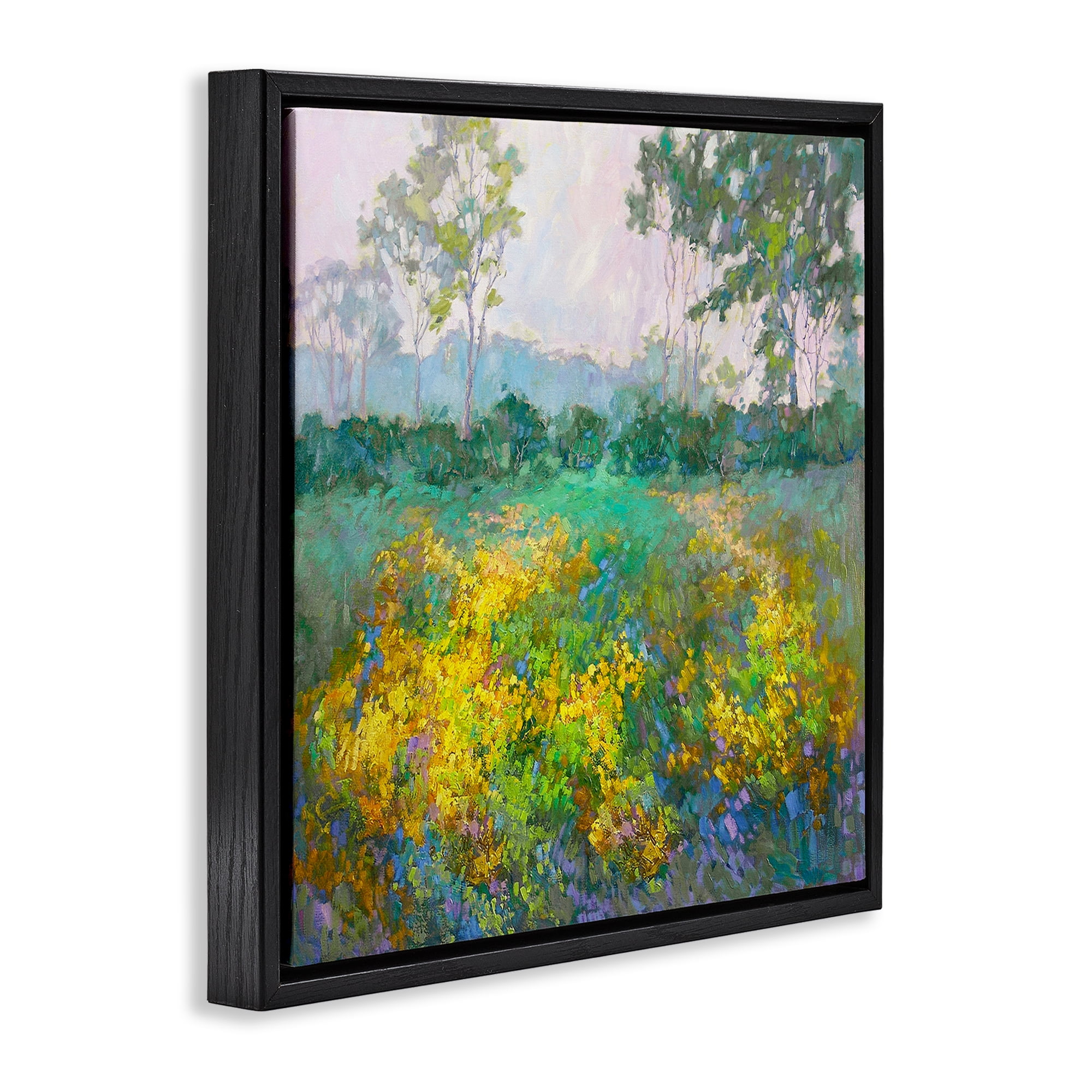 Stupell Industries Complex Meadow Terrain Landscape & Nature Painting Black Floater Framed Canvas Art Print Wall Art, 25 x 25