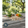 thumbnail image 2 of Higgins Vita Seed Conure & Lovebird Bird Food, 2.5 Lb, 2 of 4