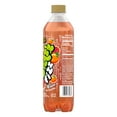 Splash Fizz, Blood Orange Flavor Sparkling Water Beverage, 20 Fl Oz
