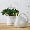 thumbnail image 5 of Novelty Pearl Indoor Watering Can 30602 - 0.5 Gallon Plastic - Off-White, 5 of 5
