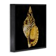thumbnail image 3 of Stupell Industries Coastal Black Framed Giclee Art, 17 x 17, by Caroline Kelly, 3 of 8