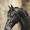 Horse, variant on Majestic Black Horse Portrait Canvas Print, Ideal for Living Room, Bedroom, Office, Dining Room, Hallway Decor