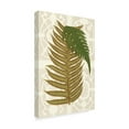 thumbnail image 2 of Trademark Fine Art 'Garden Ferns II' Canvas Art by Vision Studio, 2 of 4