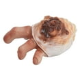 thumbnail image 4 of Home Decor,Shell Finger Resin Ornaments Resin Ornament Decorative Craft Masterfully Created, 4 of 14