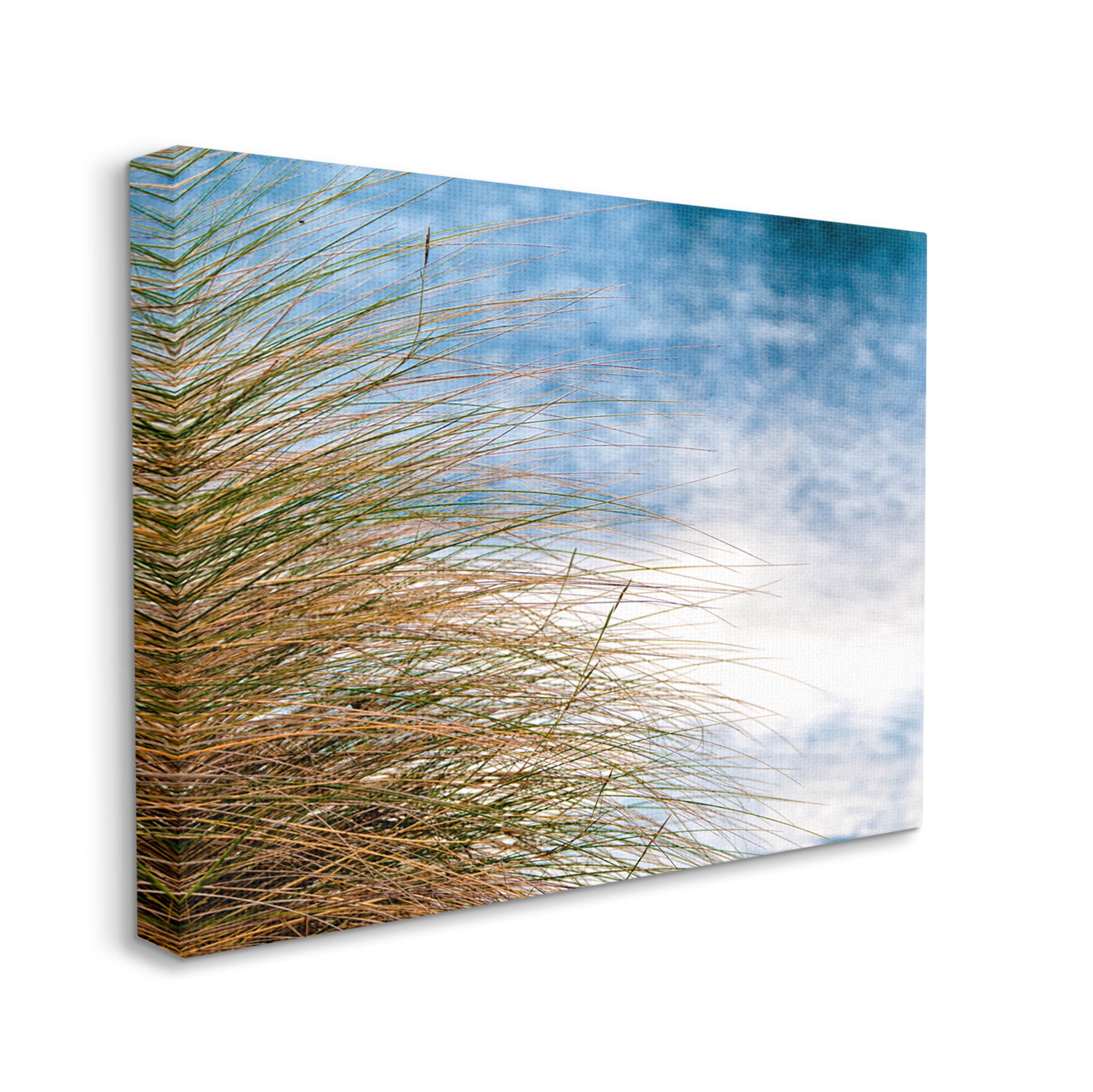 Stupell Industries Summer Beach Reed Grass Photography Photograph Gallery Wrapped Canvas Print Wall Art, Design by Mary Lou Photography