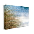 thumbnail image 3 of Stupell Industries Summer Beach Reed Grass Photography Photograph Gallery Wrapped Canvas Print Wall Art, Design by Mary Lou Photography, 3 of 7