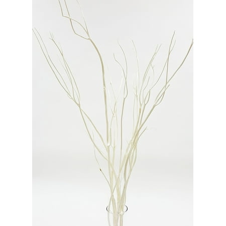 Greenfloralcrafts Decorative Branches 3 4ft Tall Mitsumata