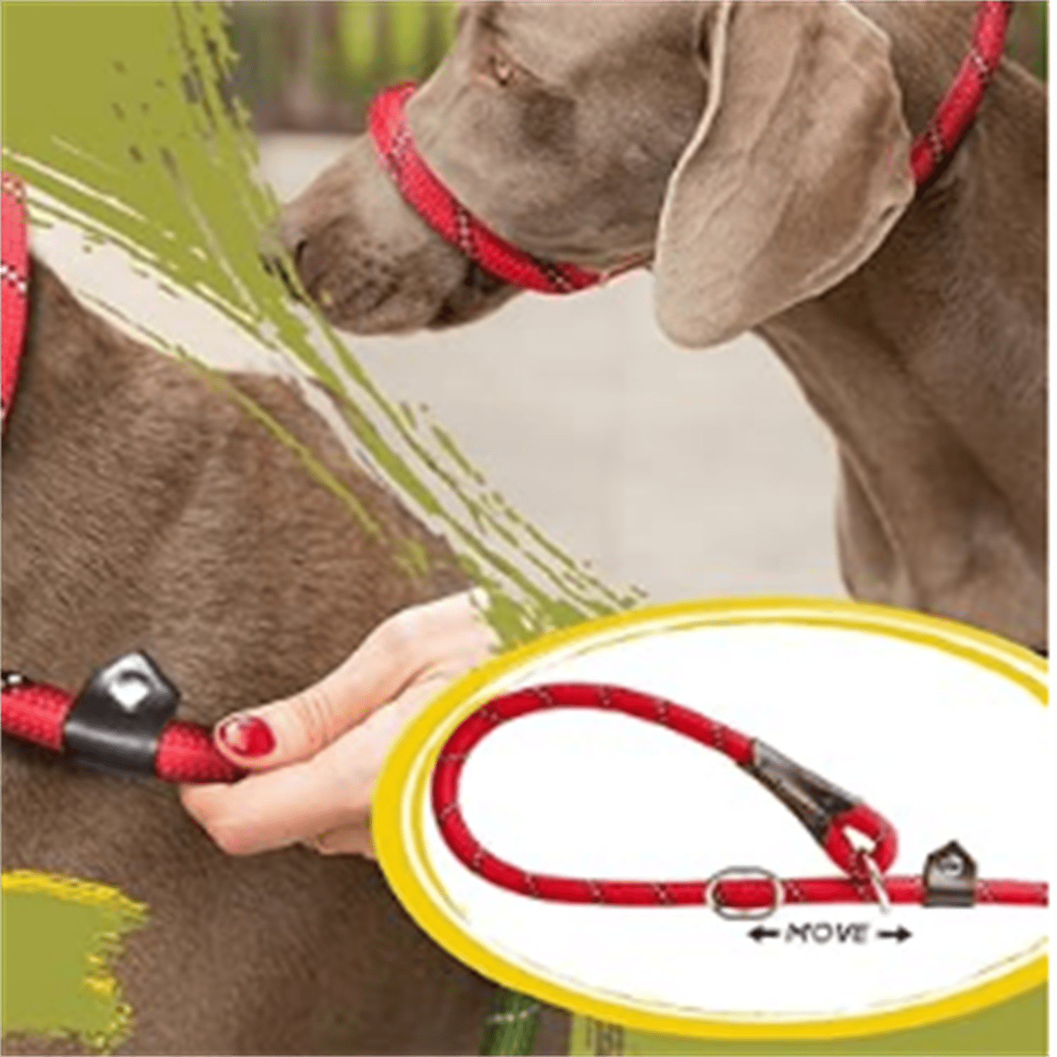 Durable Slip Lead Bulk Pack of 5, Heavy Duty 1/2" x 6 FT Comfortable Strong Rope Slip Lead for Large, Medium & Small Dogs No Pulling Pet Training Leash with Highly Reflective Red