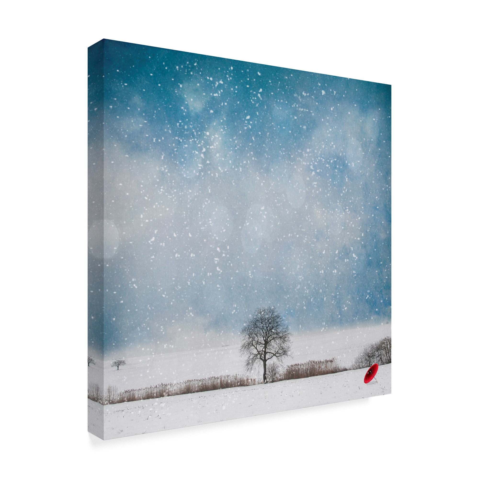 Trademark Fine Art 'The Red Umbrella Landscape' Canvas Art by Philippe Sainte-Laudy