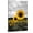 Frame-style, variant on Yellow Sunflower Canvas Wall Art Black and White Nature Flower Posters for Living Room Bedroom Farmhouse Floral Prints Office Home Decor Rustic Modern Pictures