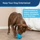 thumbnail image 4 of Dispensador de golosinas PetSafe Busy Buddy Hippster juguete masticable para perros, 4 of 5