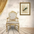 thumbnail image 3 of Vision Studio 19x24 Gold Ornate Wood Framed with Double Matting Museum Art Print Titled - Antiquarian Birds I, 3 of 4