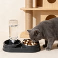 thumbnail image 4 of SHENGXINY Cat Bowls Set - 2 in 1 Pet Feeding Water Bowl, All-in-One Food Water Feeder for Dogs and Cats Gray 11x5.63x2.95in, 4 of 6