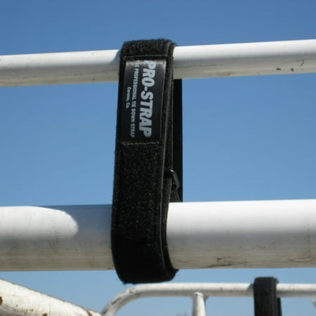 

Pro-Strap-43 -2 per package