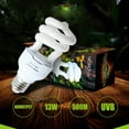 thumbnail image 3 of UVB Reptile Light Energy Saving Lamps UVB Bulb Spiral Compact 13 W UVB 5.0/10.0 Reptile Heat Lamp Light Bulb Fit for Rainforest Type Reptile/Snake/Lizard/Insect/Turtle/Tortoise, 3 of 8