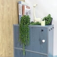 thumbnail image 4 of Zukuco Artificial String of Pearls Hanging Plants in Pots, Faux Potted Plants Realistic Green Succulent Fake Hanging Plants for Shelf Decor Desk Home Garden Decorations, 4 of 7