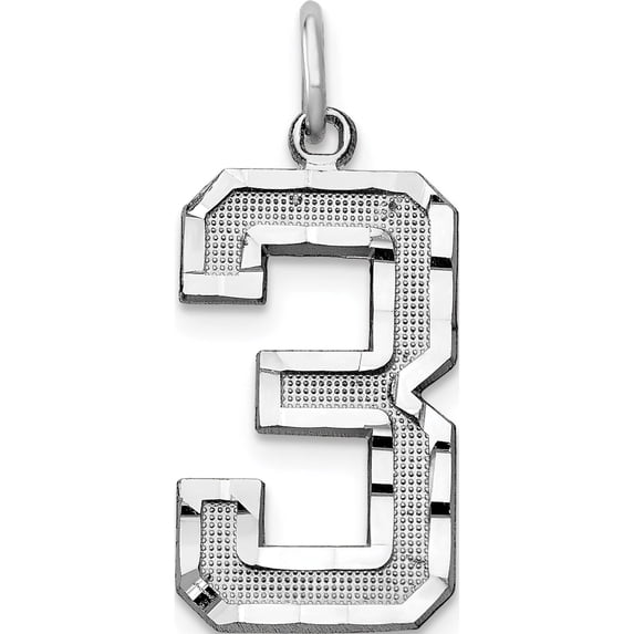 14K White Gold 14Kw Large Brushed Diamond-Cut Number 3 Charm (20.37 X 11.27) Made In United States wln03