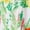 Tropical, variant on The Edit By Seventeen Juniors Cutout Tropical Print Maxi Dress Tropical 1