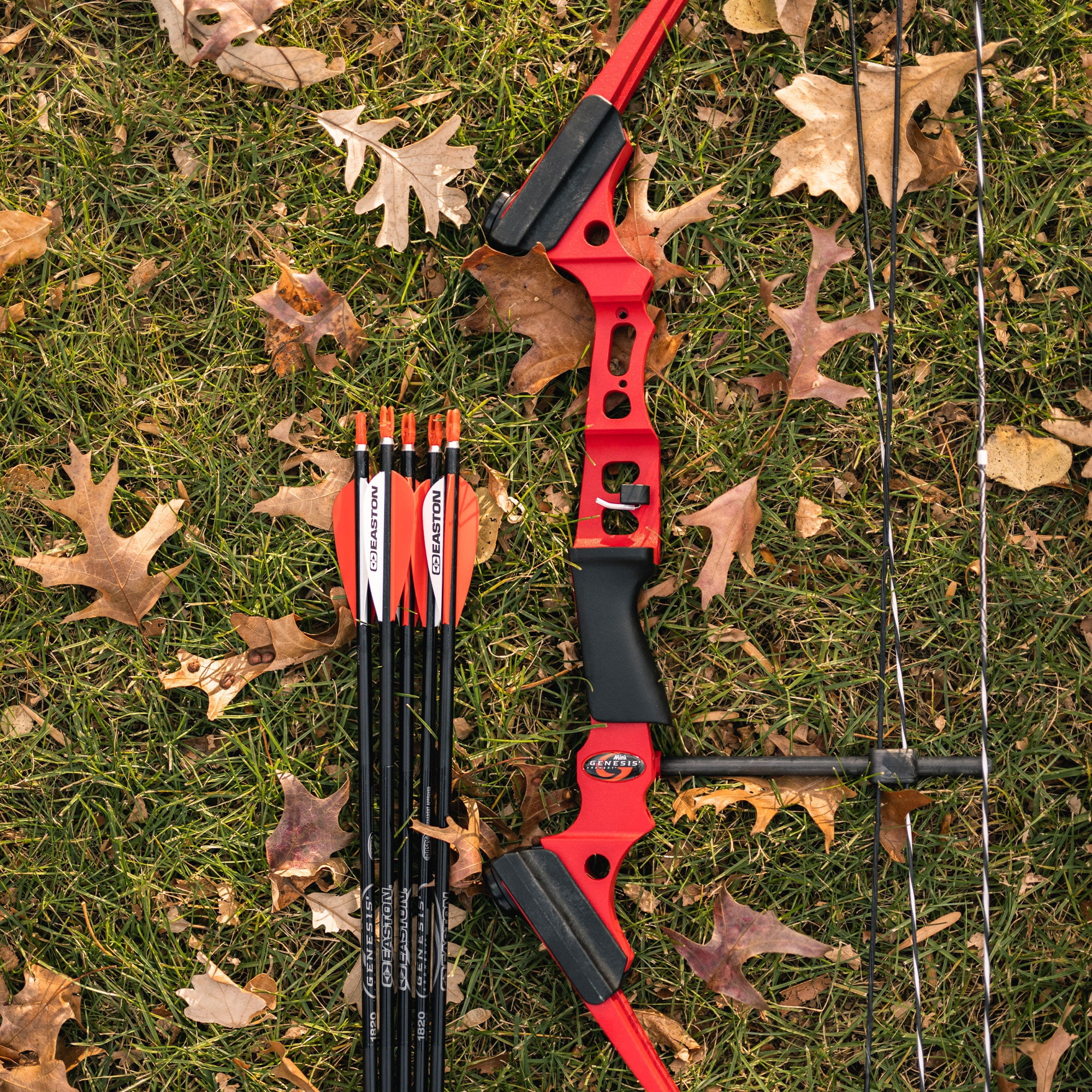 Genesis Original Archery Compound Bow, Adjustable, Draw Hand-Right, Black