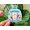 3pcs, variant on Sagittarius Jacket Zodiac Signs Astrology Popular Zodiac Waterbottle Sticker