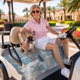 thumbnail image 3 of Golf Cart Seat Covers for 2 Seater, Blue Grey Soft Microfiber Cart Seat Towel Blanket, Modern Oil Painting Art Abstract Absorbent Breathable Non Slip Bench Seats Protector for Golf Course 51"x31", 3 of 9