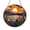 Acrylic 3.5 Inch, variant on Sunset Lake with Tulips Stained Glass Window Hanging2001