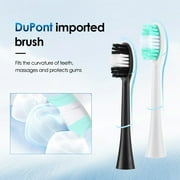 Electric Toothbrush with Tartar Remover Scraper, Teethbrush Cleaning Tool, Teeth Cleaning Kit 2 in 1 with 6 Cleaning Modes, 10min Auto Off, IPX6 Waterproof, 500mAh Battery for Adult, White