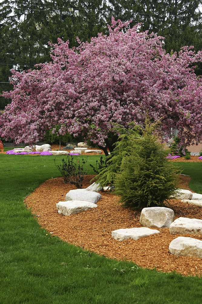Simple Garden Cypress Mulch Gold Blend, 2 Cubic Foot.