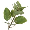 thumbnail image 2 of Vickerman 5' Artificial Green Potted Cotinus Coggygria Tree., 2 of 8