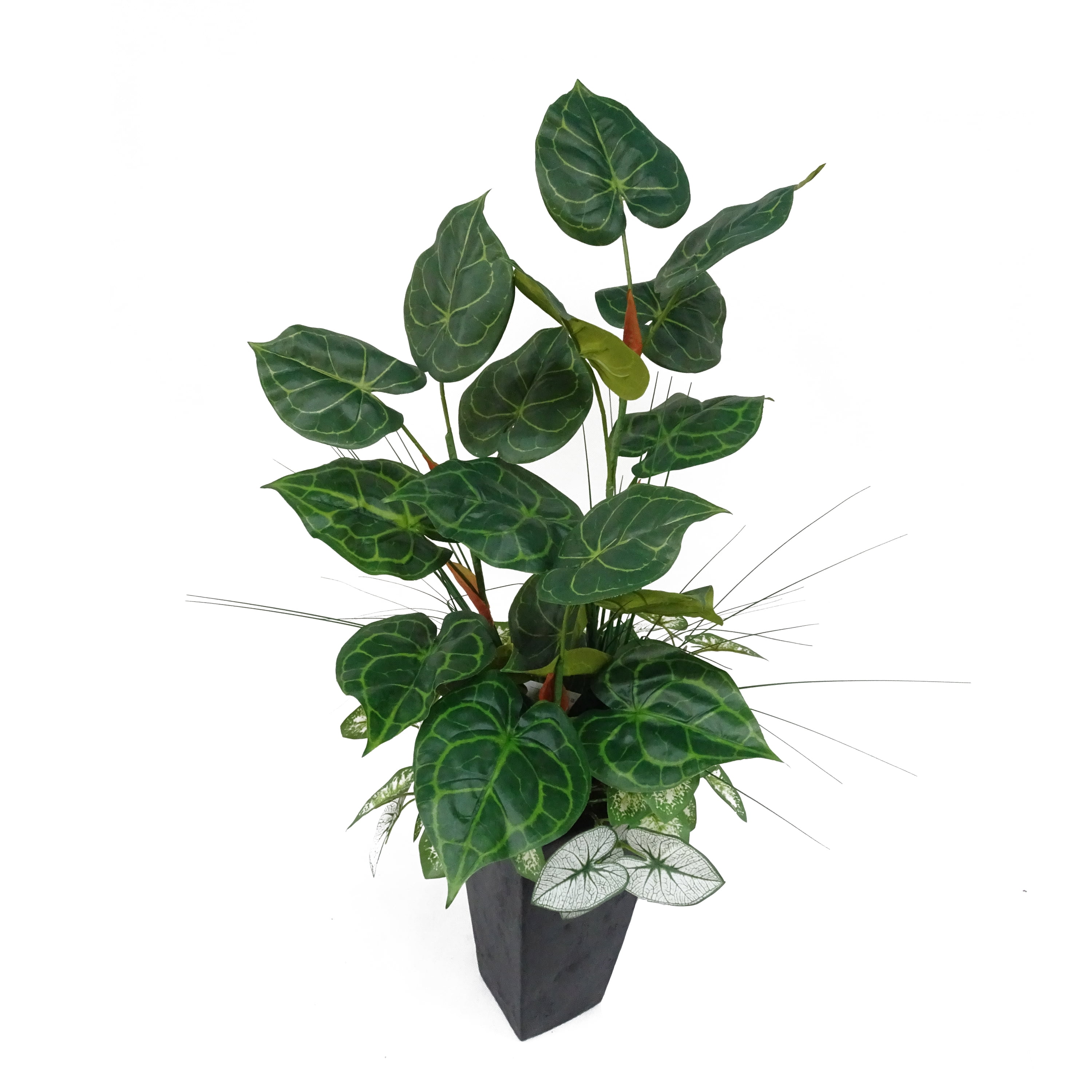 Mainstays Foliage Mixed Potted Plant