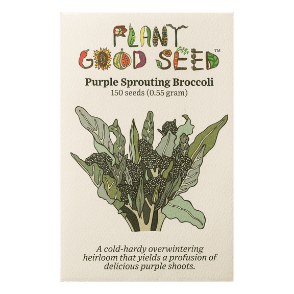 Purple Sprouting Broccoli Seeds