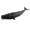 thumbnail image 1 of Vogacara Realistic Animal Model Education Soft Figure Toy Kids Juguetes Educativos cachalote, 1 of 1
