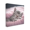 thumbnail image 4 of Stupell Industries Soft Kitten Tucked In Animals & Insects Painting Gallery Wrapped Canvas Art Print Wall Art, 17 x 17, 4 of 8