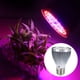 thumbnail image 5 of Plant Grow Light, Grow Light, 2.2x3.4in Cultivo de vegetales para flores LYUMO Focos LED, 5 of 6