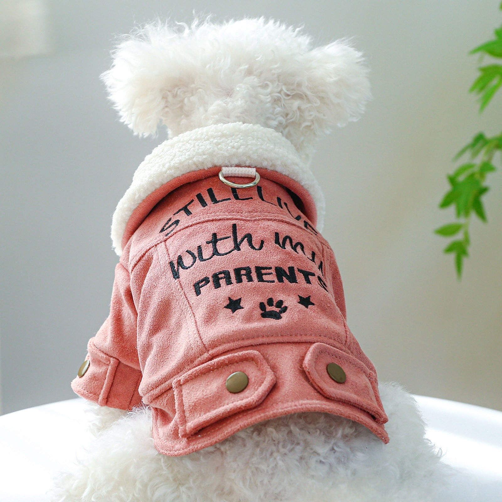SIfdSeng Dog Shirts for Small Dogs Boy Fall Pet Circle Dog SIfdSeng Dog Shirts for Small Dogs Boy Fall Pet Circle Dog