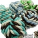 thumbnail image 3 of Otterly Pets Juguete para cachorros, bolas de cuerda pequeñas para perros, dentición, juguete de alg, 3 of 6