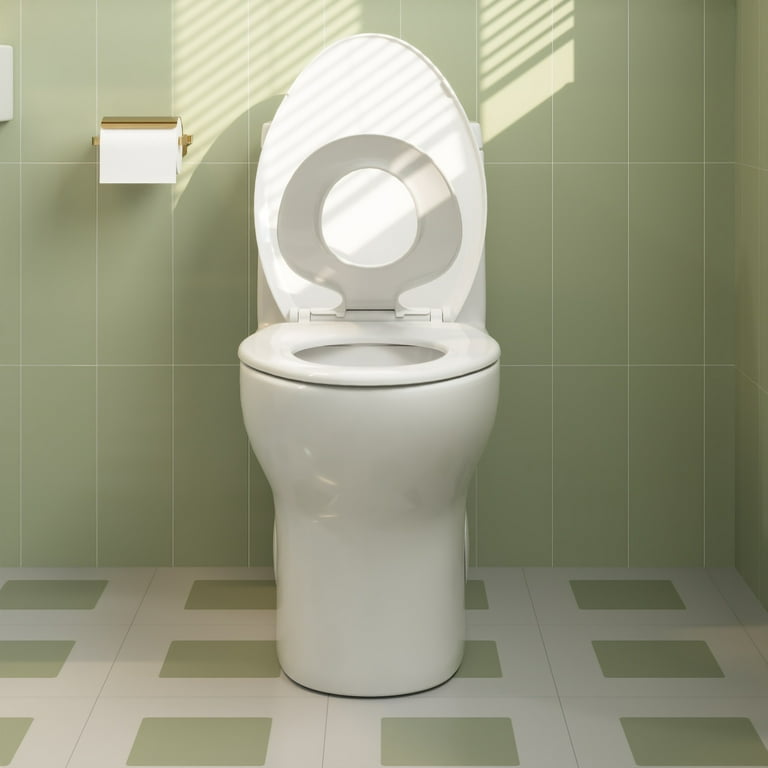 Ally 1-Piece 1.1/1.6 GPF Dual Flush Elongated ADA Comfort Height Toilet in Glossy White Seat Included Ally 1-Piece 1.1/1.6 GPF Dual Flush Elongated ADA Comfort Height Toilet in Glossy White Seat Included