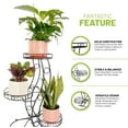 thumbnail image 3 of Cocoyard 3-Tier Collapsible Black Metal Plant Stand. No Assembly Tools Required, Large, 3 of 8
