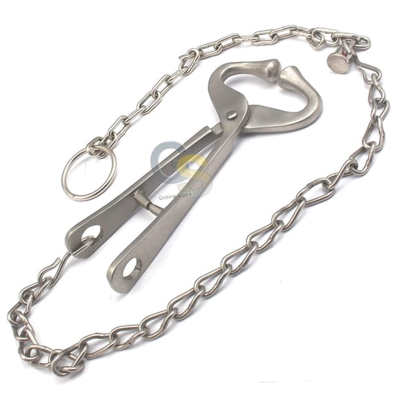 New German Grade Bull Cow Nose Lead with Chain Show Cattle Steel Farm Ranch Veterinary by G.S ONLINE STORE