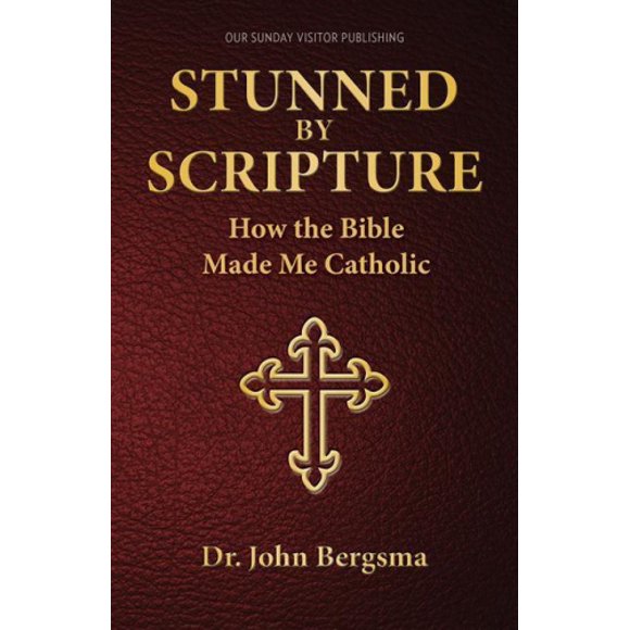Stunned by Writer : Comment la Bible m'A Rentrée