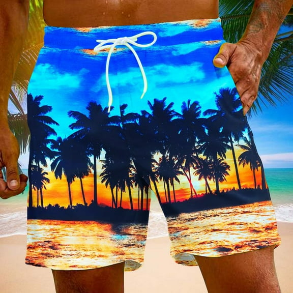 Jacenvly Mens Swim Trunks Print Casual Plus Size Board Shorts Quick Drying Men's Holiday Style Printing Special Print Beach Trouser Shorts Pants Sky Blue
