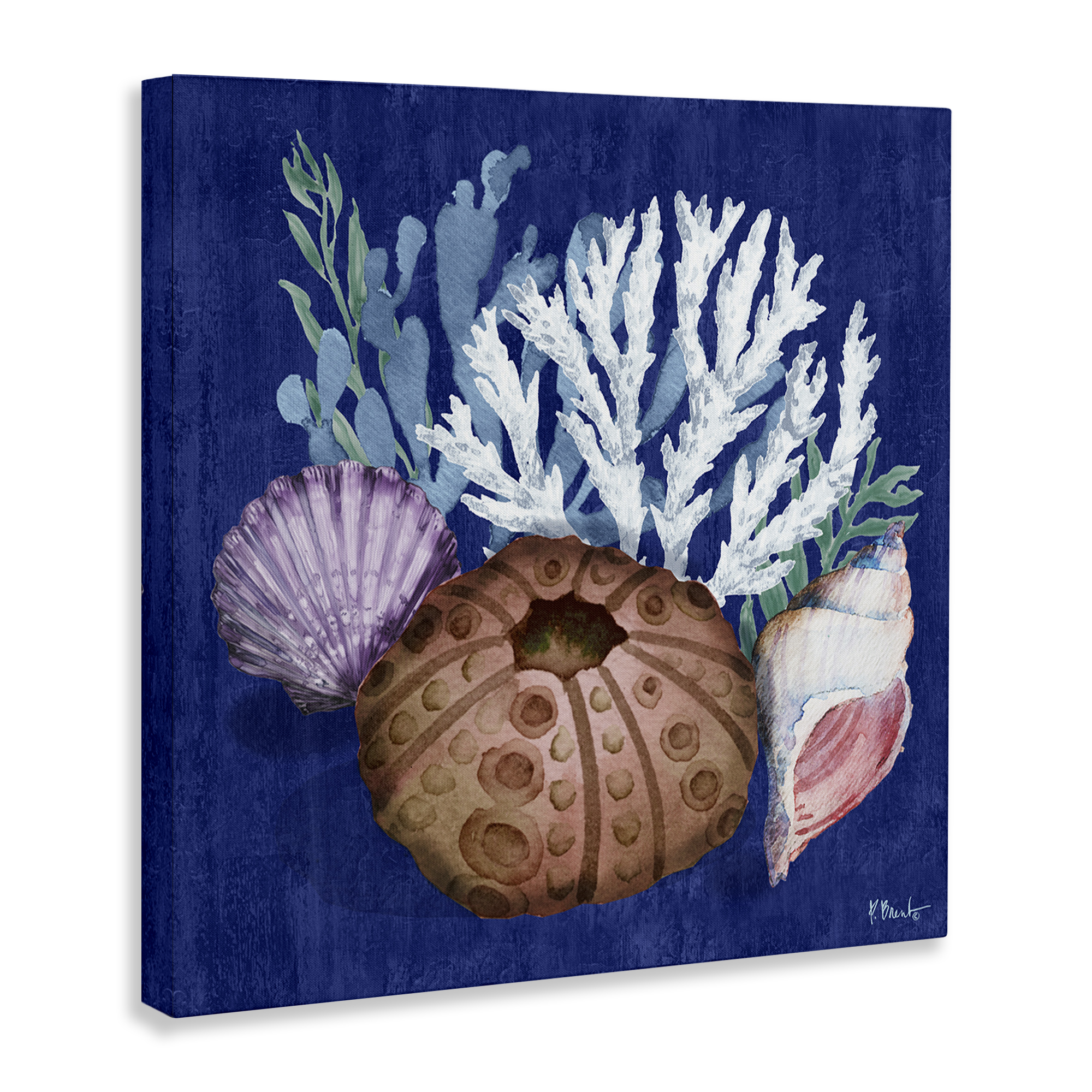 Stupell Industries Urchin & Coral Still Life Coastal Painting Gallery Wrapped Canvas Art Print Wall Art, 36 x 36