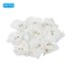 thumbnail image 3 of Uxcell 2.8" Cabezas de Orquídea de Seda Artificial Phalaenopsis para Decoración de Bodas DIY, Blanco Puro 40 Paquete, 3 of 6