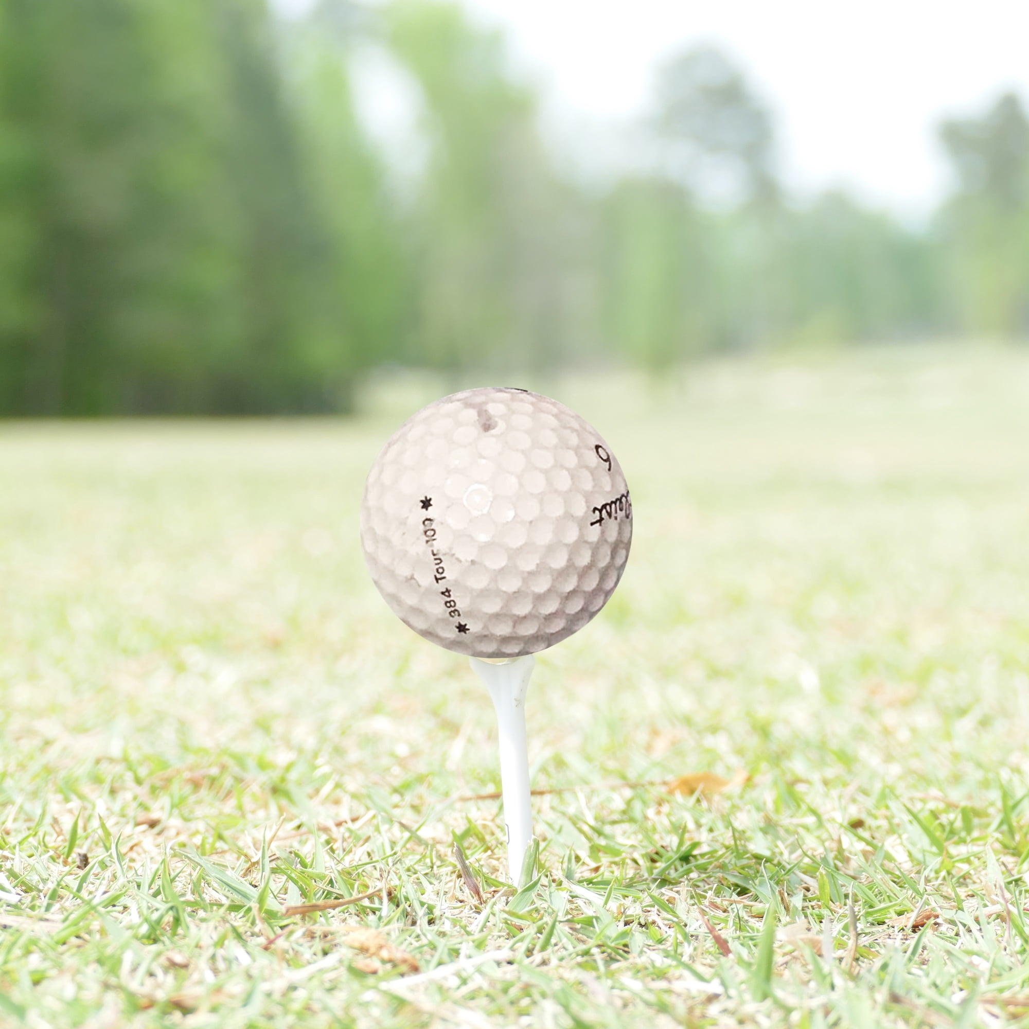 Golf Ball Nut – Mixed Brands Recycled Golf Balls Bulk for Hit-Away & Practice – 2A Fair Quality – 100-Pack