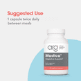 thumbnail image 3 of ARG Mastica Digestive Support - Supports Digestive Comfort - Delivers 1000 mg Chios Mastic Gum Resin per Serving - Vegetarian & Hypoallergenic - 120 Servings - 240 Capsules, 3 of 7